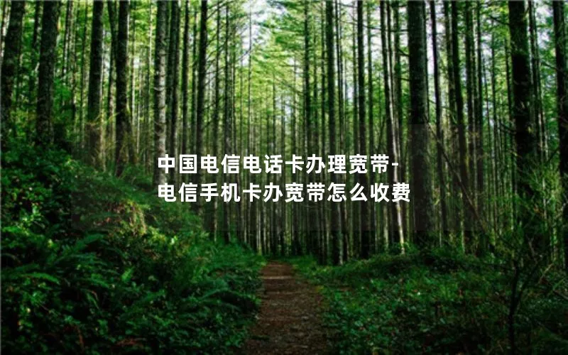 中国电信电话卡办理宽带-电信手机卡办宽带怎么收费