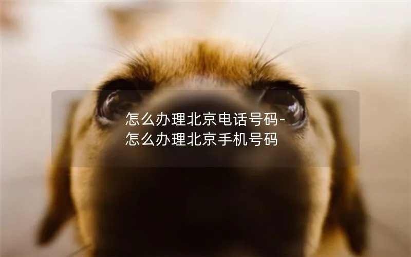 怎么办理北京电话号码-怎么办理北京手机号码