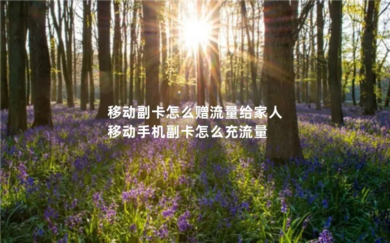移动副卡怎么赠流量给家人 移动手机副卡怎么充流量