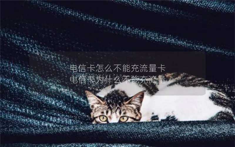 电信卡怎么不能充流量卡 电信卡为什么不能充流量