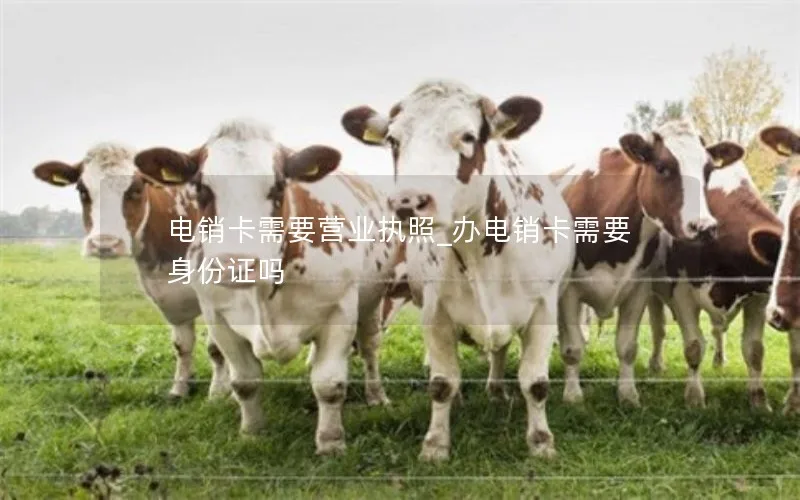 电销卡需要营业执照_办电销卡需要身份证吗
