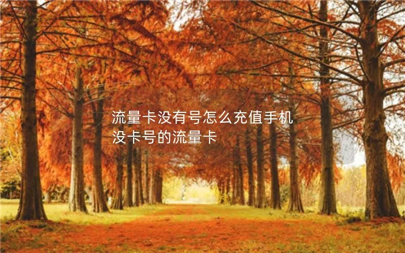 流量卡没有号怎么充值手机 没卡号的流量卡