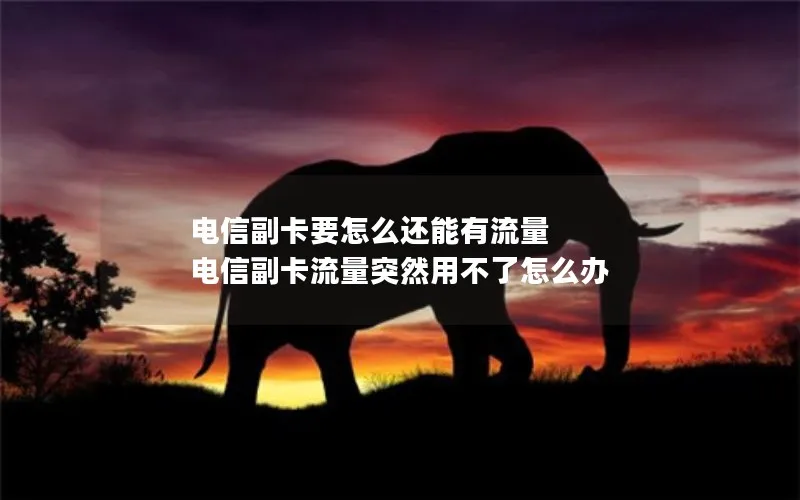 电信副卡要怎么还能有流量 电信副卡流量突然用不了怎么办