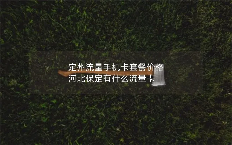 定州流量手机卡套餐价格 河北保定有什么流量卡