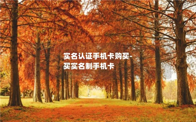 实名认证手机卡购买-买实名制手机卡
