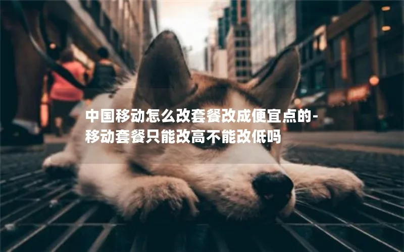 中国移动怎么改套餐改成便宜点的-移动套餐只能改高不能改低吗