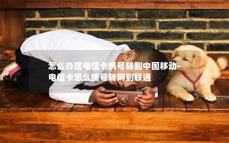 怎么办理电信卡携号转到中国移动-电信卡怎么携号转网到联通