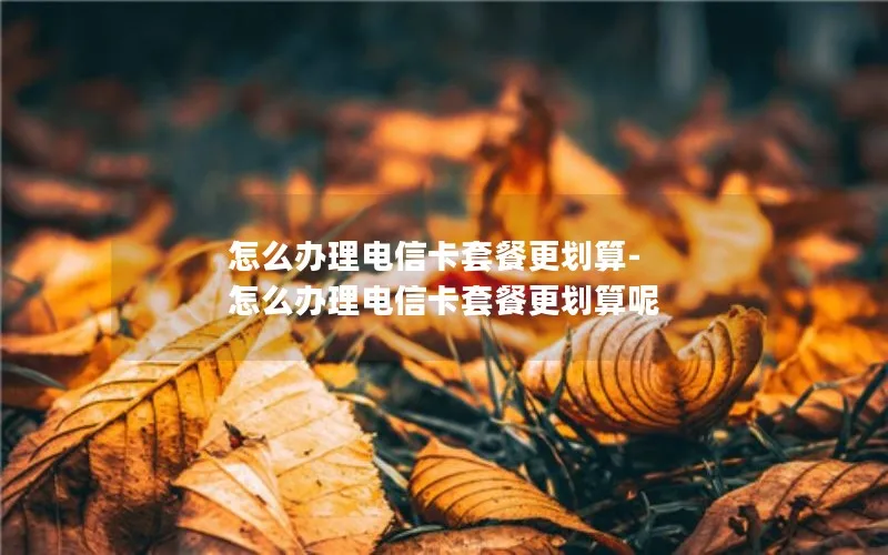 怎么办理电信卡套餐更划算-怎么办理电信卡套餐更划算呢