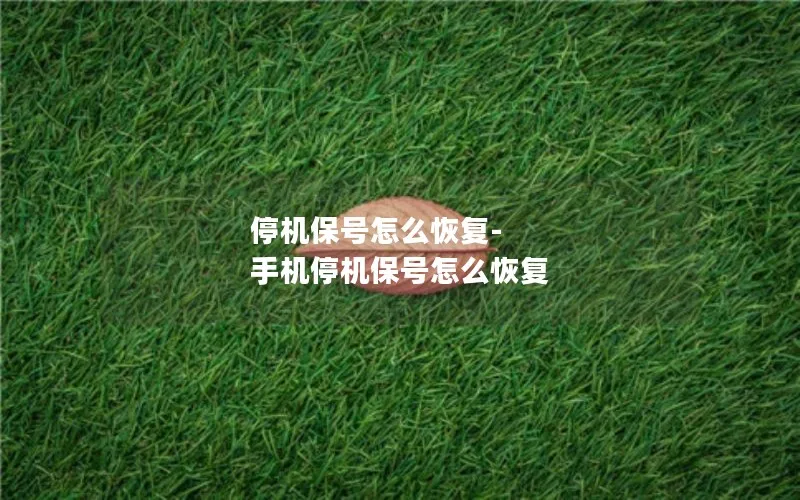 停机保号怎么恢复-手机停机保号怎么恢复
