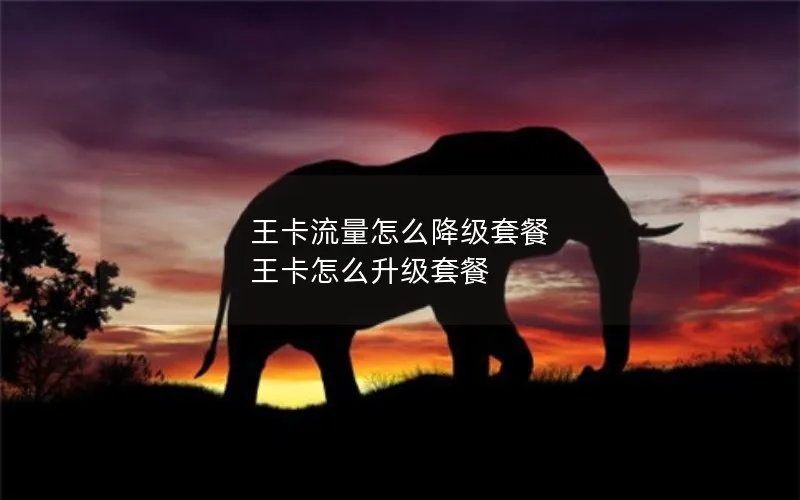 王卡流量怎么降级套餐 王卡怎么升级套餐
