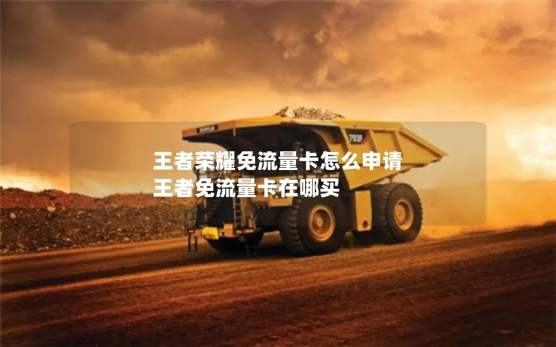 王者荣耀免流量卡怎么申请 王者免流量卡在哪买