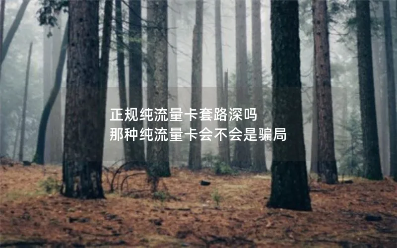 正规纯流量卡套路深吗 那种纯流量卡会不会是骗局