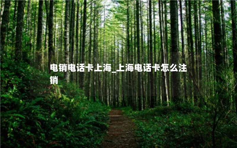 电销电话卡上海_上海电话卡怎么注销