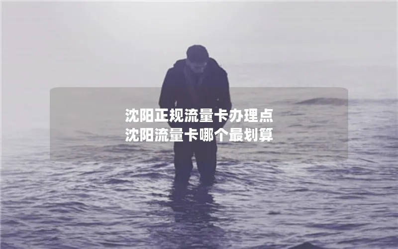 沈阳正规流量卡办理点 沈阳流量卡哪个最划算