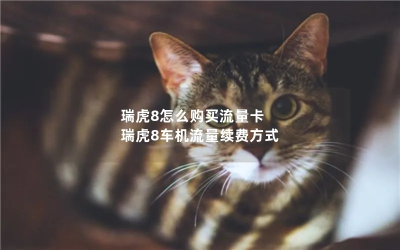 瑞虎8怎么购买流量卡 瑞虎8车机流量续费方式