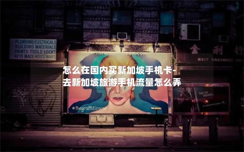 怎么在国内买新加坡手机卡-去新加坡旅游手机流量怎么弄
