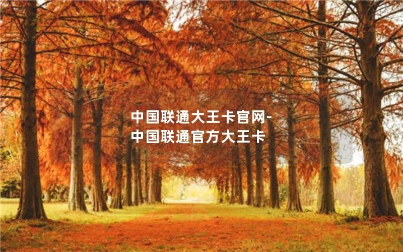 中国联通大王卡官网-中国联通官方大王卡