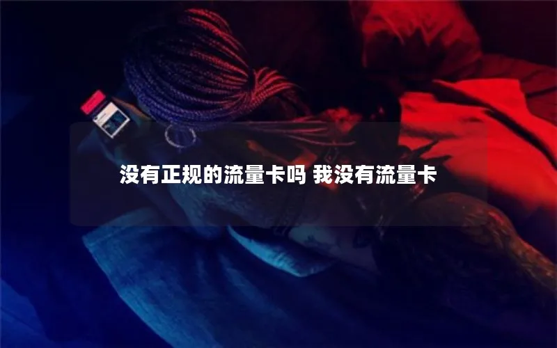 没有正规的流量卡吗 我没有流量卡