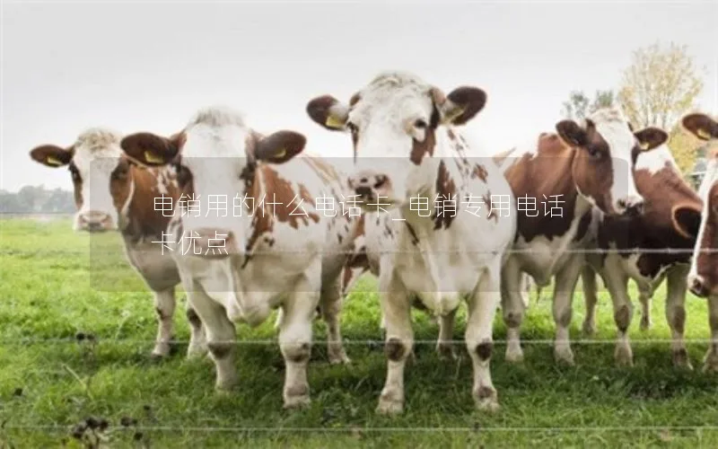 电销用的什么电话卡_电销专用电话卡优点