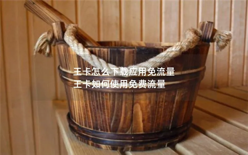 王卡怎么下载应用免流量 王卡如何使用免费流量