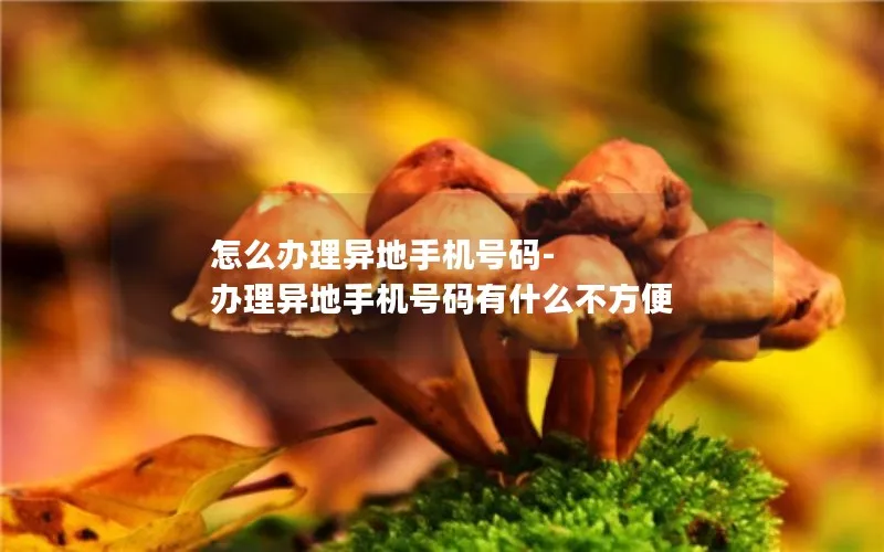 怎么办理异地手机号码-办理异地手机号码有什么不方便