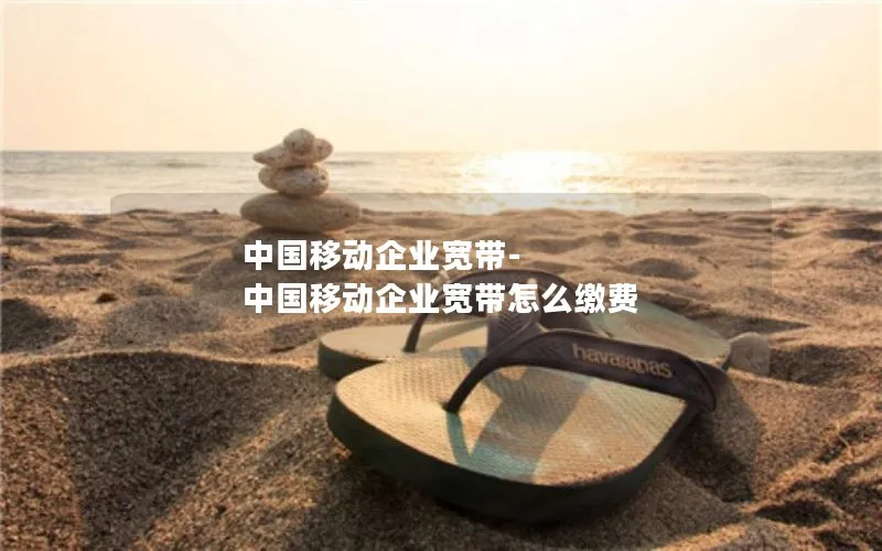 中国移动企业宽带-中国移动企业宽带怎么缴费