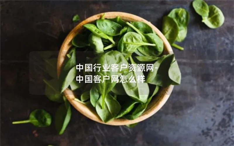 中国行业客户资源网-中国客户网怎么样