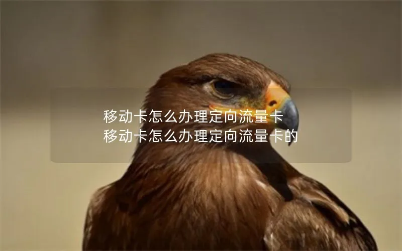移动卡怎么办理定向流量卡 移动卡怎么办理定向流量卡的