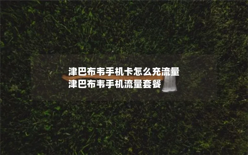 津巴布韦手机卡怎么充流量 津巴布韦手机流量套餐