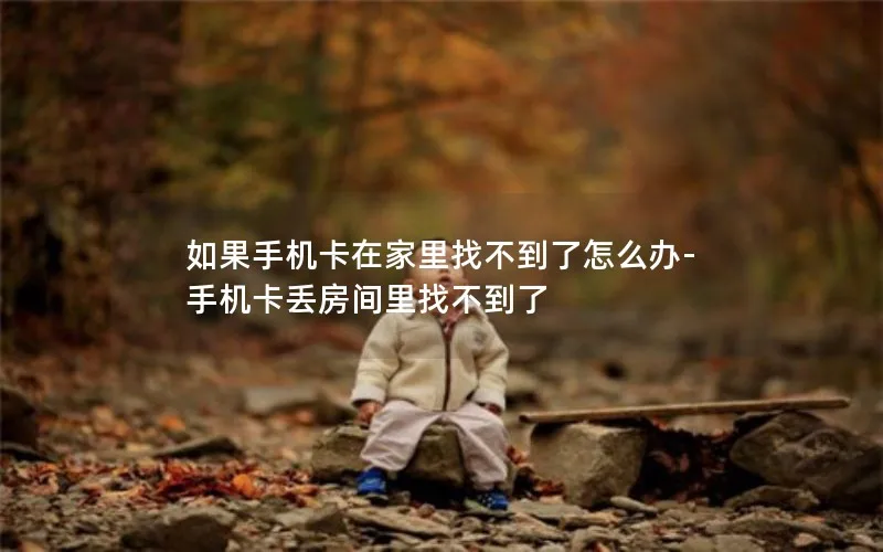 如果手机卡在家里找不到了怎么办-手机卡丢房间里找不到了