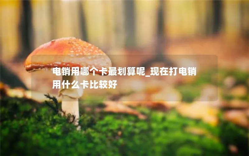 电销用哪个卡最划算呢_现在打电销用什么卡比较好