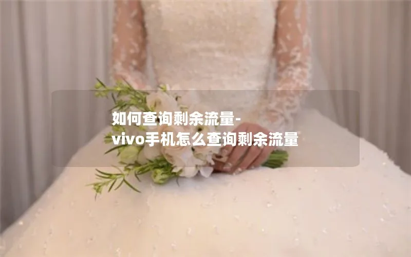 如何查询剩余流量-vivo手机怎么查询剩余流量