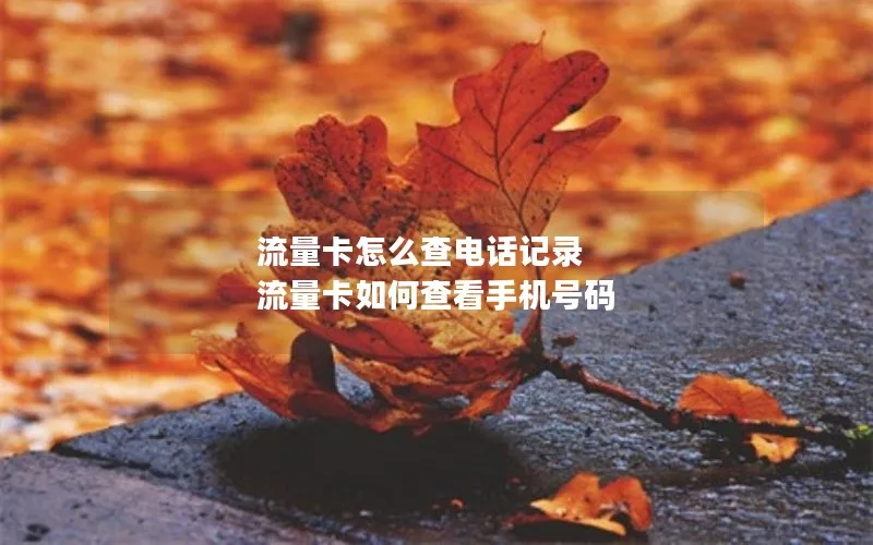 流量卡怎么查电话记录 流量卡如何查看手机号码