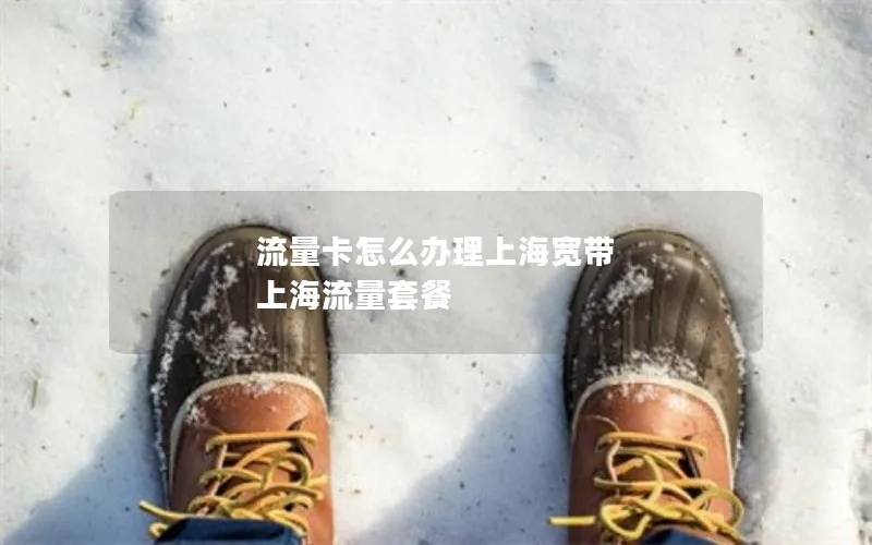 流量卡怎么办理上海宽带 上海流量套餐