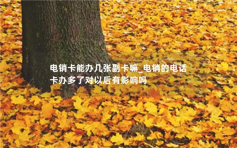 电销卡能办几张副卡嘛_电销的电话卡办多了对以后有影响吗