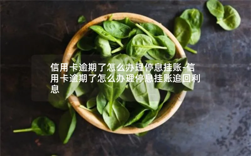 信用卡逾期了怎么办理停息挂账-信用卡逾期了怎么办理停息挂账追回利息