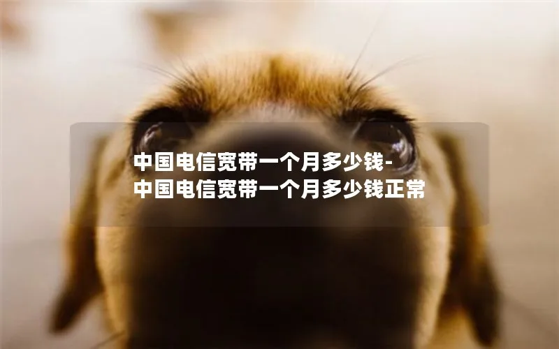 中国电信宽带一个月多少钱-中国电信宽带一个月多少钱正常