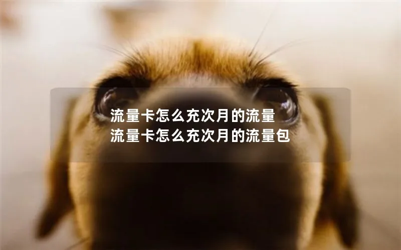 流量卡怎么充次月的流量 流量卡怎么充次月的流量包