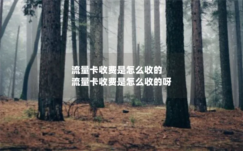 流量卡收费是怎么收的 流量卡收费是怎么收的呀