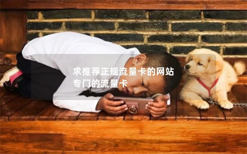 求推荐正规流量卡的网站 专门的流量卡