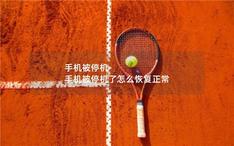 手机被停机-手机被停机了怎么恢复正常