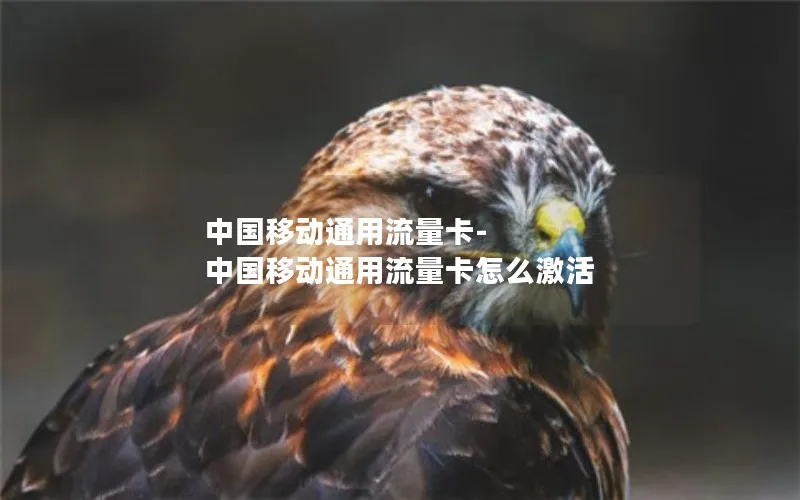 中国移动通用流量卡-中国移动通用流量卡怎么激活