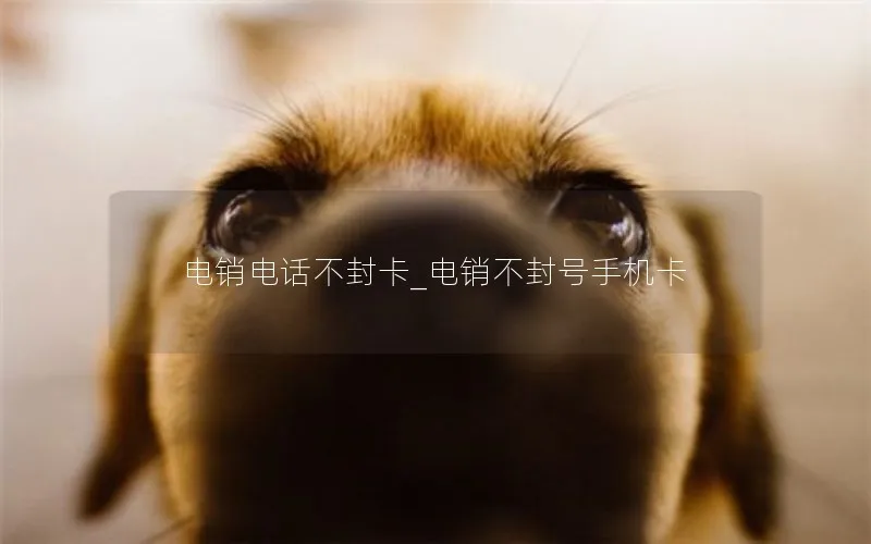 电销电话不封卡_电销不封号手机卡