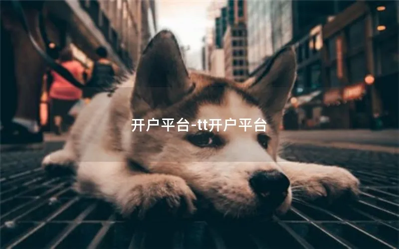 开户平台-tt开户平台